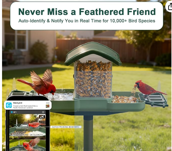 Bird Feeder with Camera for Outdoors, 2-in-1 Dual Camera Smart Combo - Separate Cameras Capture Feeding & Bathing Zones, Solar Powered 2K HD Live View, AI Recognition, Waterproof Backyard Gift