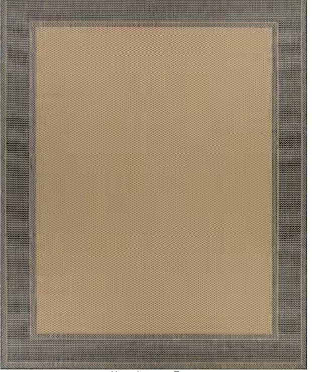 6x9 Black Beige Border Rug