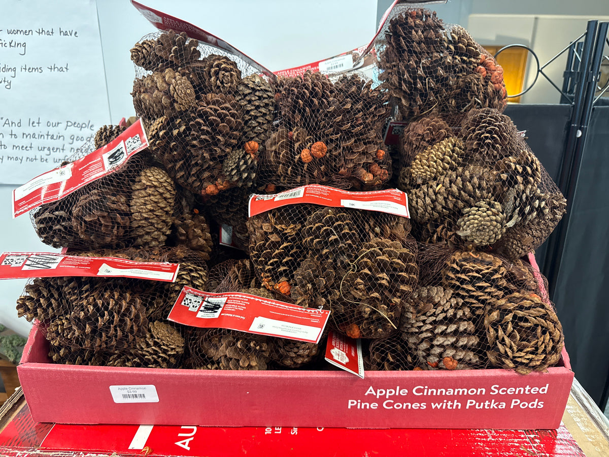 Apple Cinnamon Scented Pine Cones & Putka Pods,4 dry quarts,