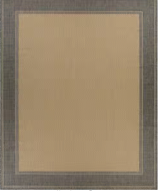 6x9 Black Beige Border Rug